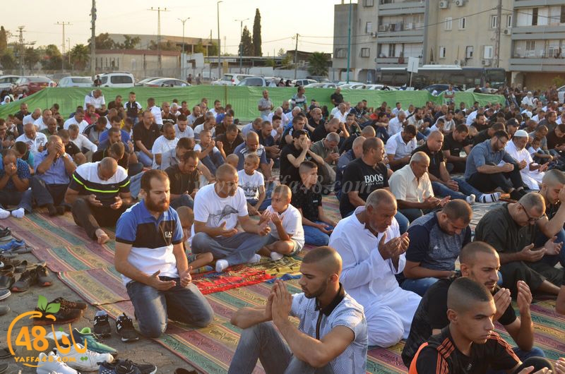 lud salah 3eed hq (12).JPG